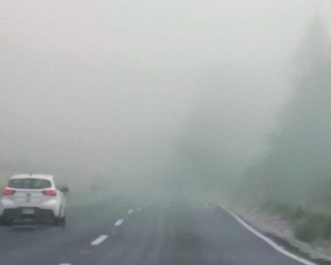 CDMX activates Orange Alert due to frost forecast of 1° at dawn on Friday, February 6