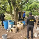 CECCOM desmantela dos laboratorios clandestinos de alcohol adulterado