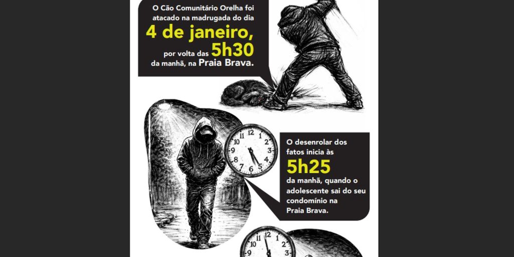 Cão Orelha: Police use images and cell phone data to solve case