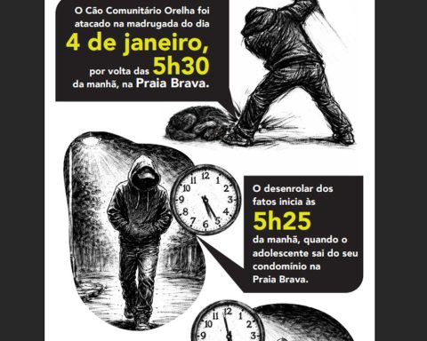 Cão Orelha: Police use images and cell phone data to solve case