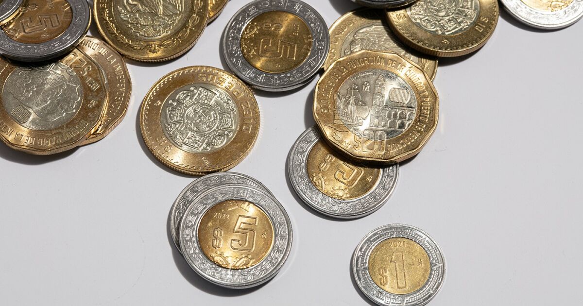 Cetes vs inflation, these are the terms in which you should invest in February