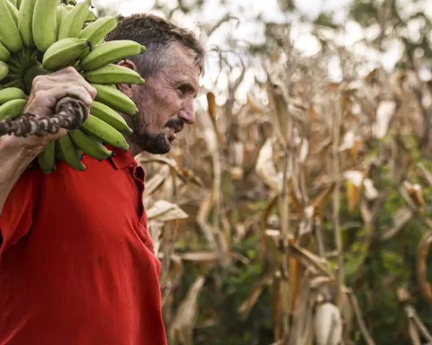 Chamber approves use of FGO resources in Pronaf operations