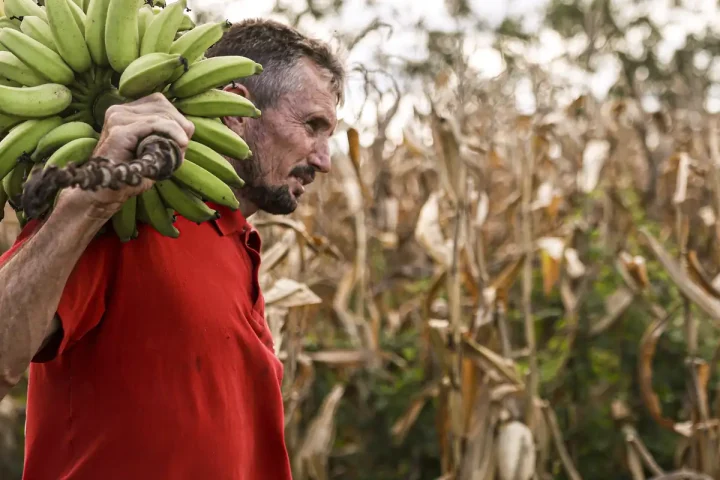 Chamber approves use of FGO resources in Pronaf operations