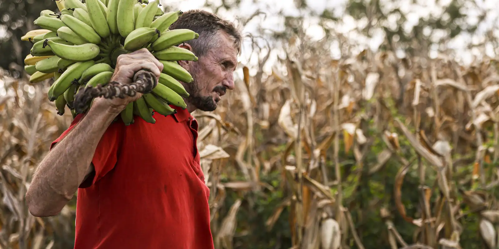 Chamber approves use of FGO resources in Pronaf operations