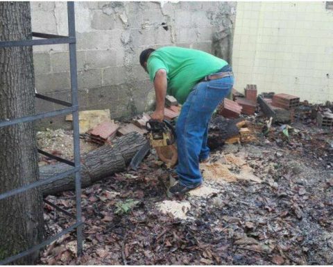 Cicpc arrested the murderer of journalist Kalinina Ortega