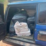 Cicpc seized half a ton of drugs in Táchira