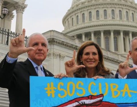 María Elvira Salazar, Ley