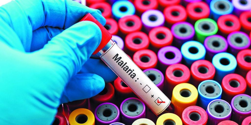 Cruise passenger evacuated after presenting symptoms of malaria in Isla Mujeres