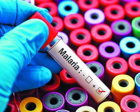 Cruise passenger evacuated after presenting symptoms of malaria in Isla Mujeres