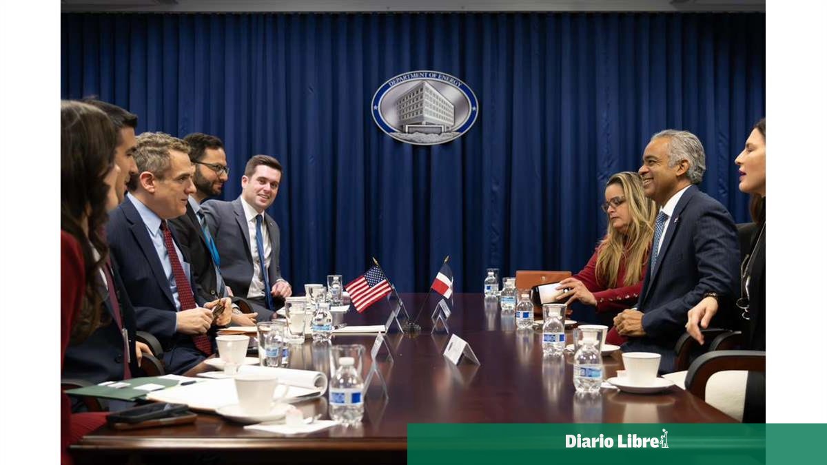 DR presents progress and schedule on rare earths to the US