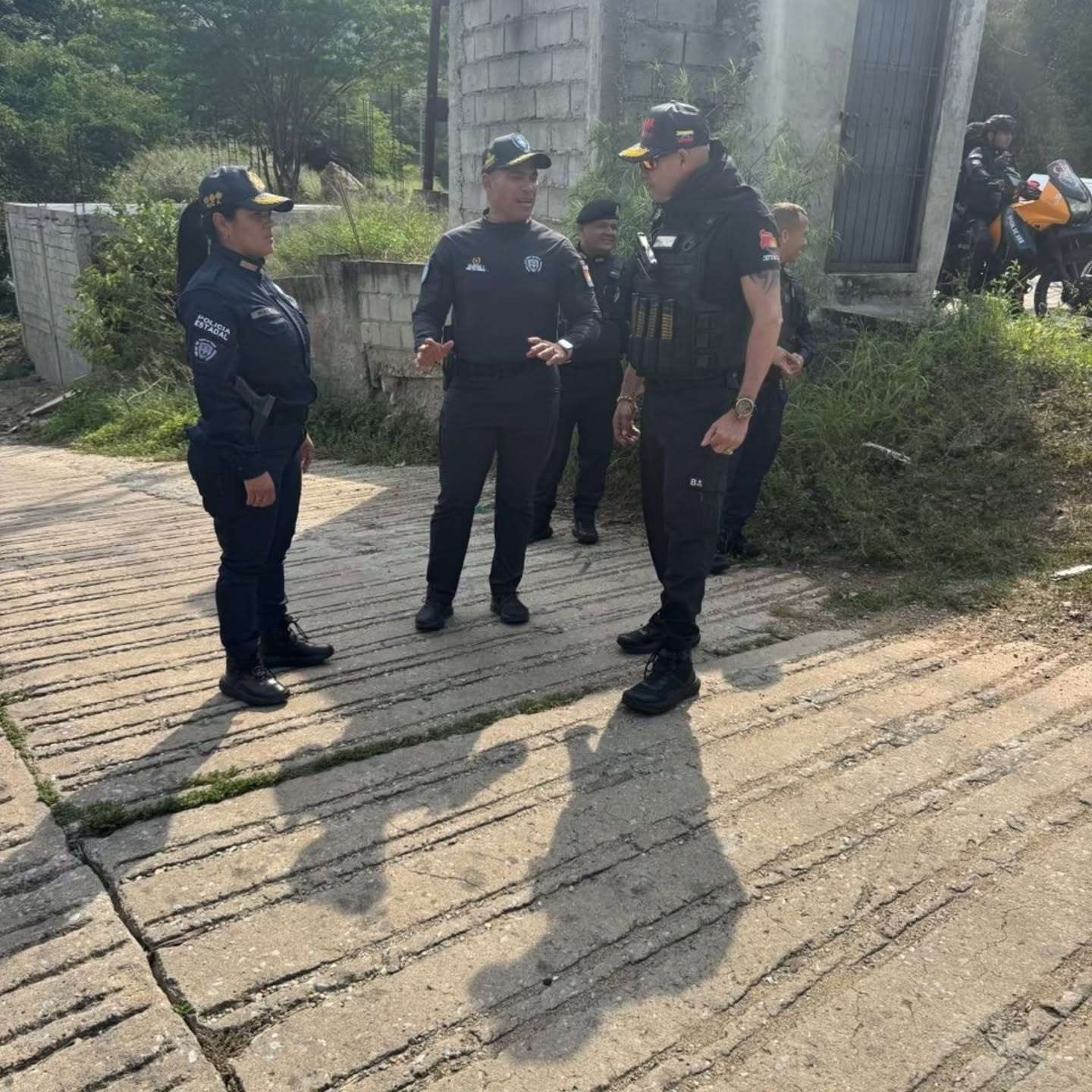 Defeated El Negro, El Robacarro and The Monster of Naguanagua