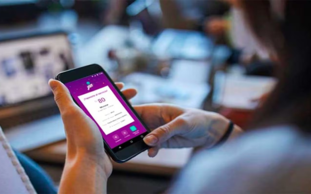 Direct salary to cell phone: Government authorizes payment of salaries via digital wallets