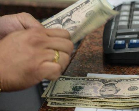 Dollar rate today in the Dominican Republic: official price, purchase and sale