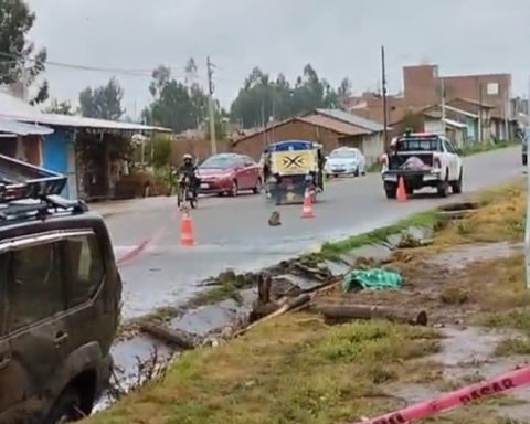 Driver in an alleged drunken state runs over and kills a mother of four children in Huancayo