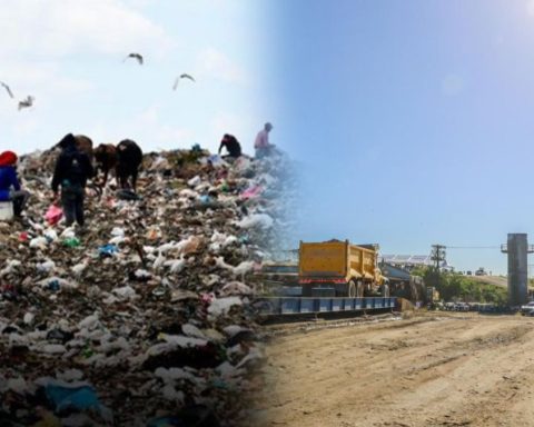 Duchess in photos: before and after the landfill