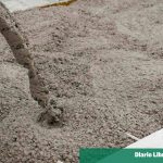 Exports save the Dominican cement industry