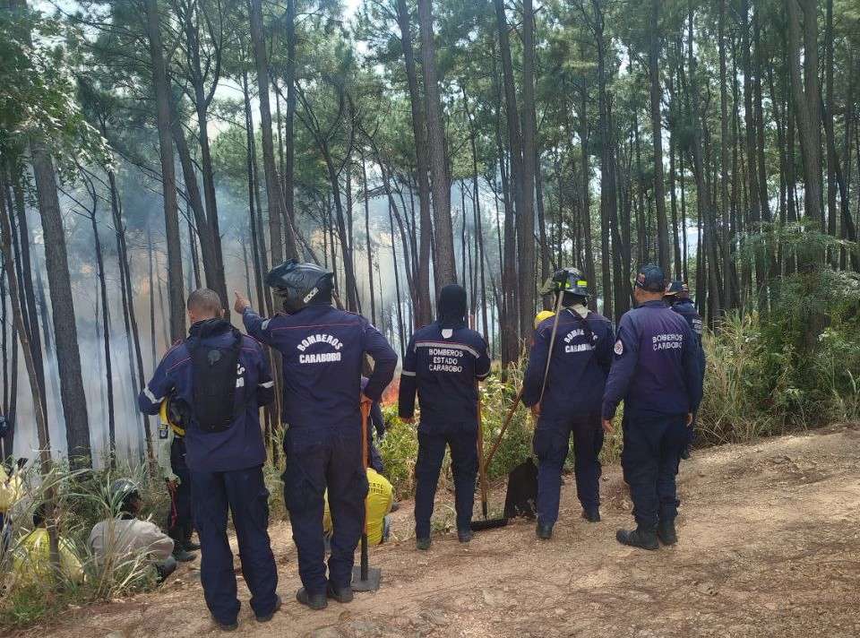 Fire in Cerro El Café consumed more than 120 hectares