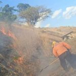 Firefighters face fire on the Panamericana