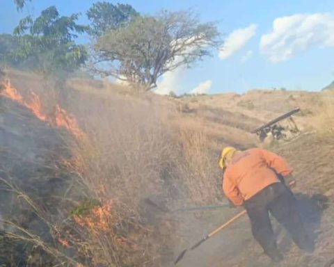 Firefighters face fire on the Panamericana