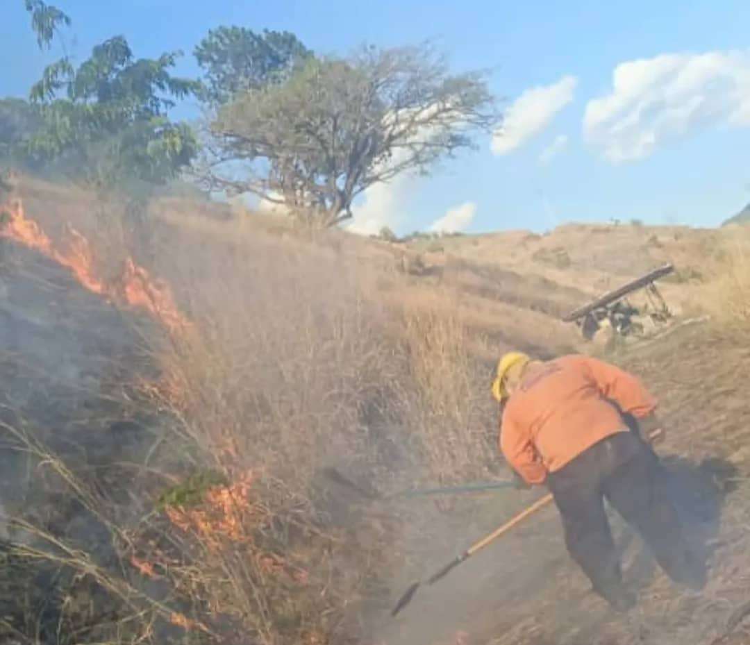 Firefighters face fire on the Panamericana