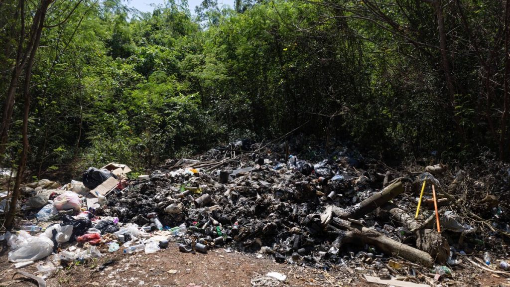 Garbage and pollution in lots and Autovía del Este in Guayacanes