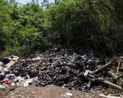 Garbage and pollution in lots and Autovía del Este in Guayacanes