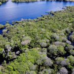 Government launches notice to combat deforestation in the Amazon