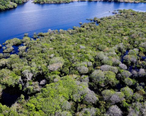 Government launches notice to combat deforestation in the Amazon