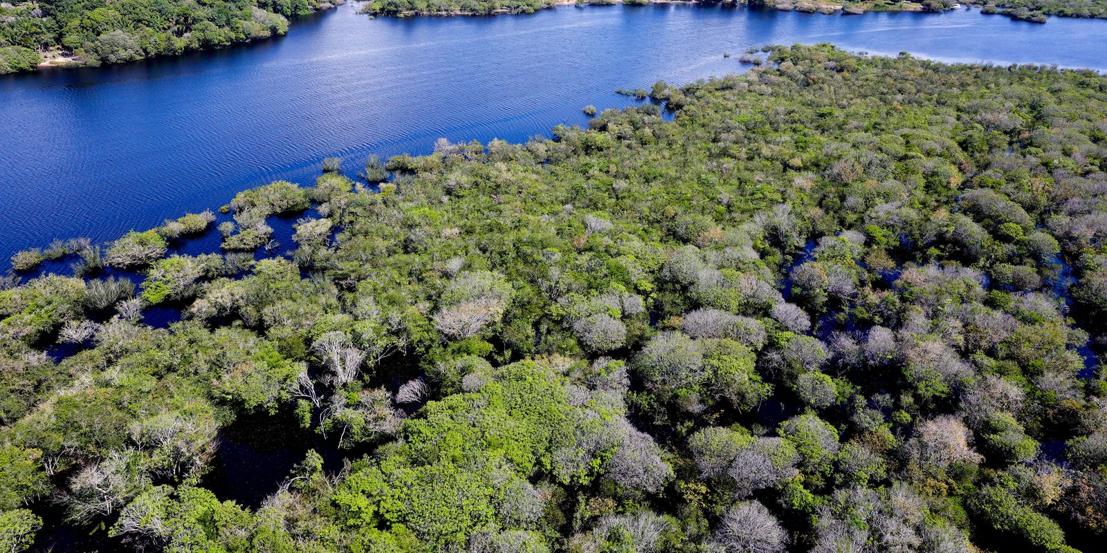 Government launches notice to combat deforestation in the Amazon