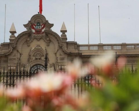 Government publishes decree that creates the crime of revealing confidential information