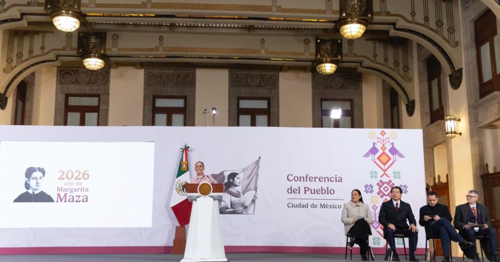 Government will ask mining companies to return 200 concessions