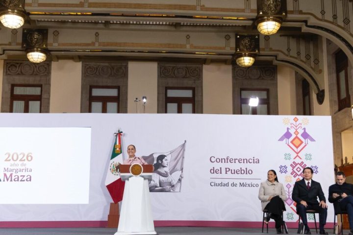 Government will ask mining companies to return 200 concessions