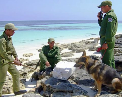 Havana blames political reasons for the fact that the US does not recognize its collaboration against drug trafficking