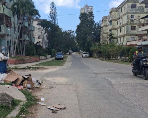 Havana, in critical condition