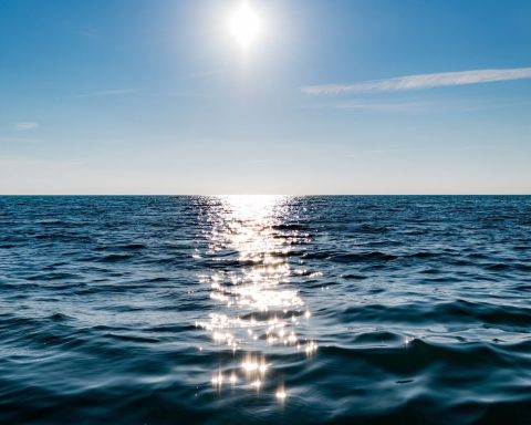 High Seas Treaty: understand what changes for Brazil