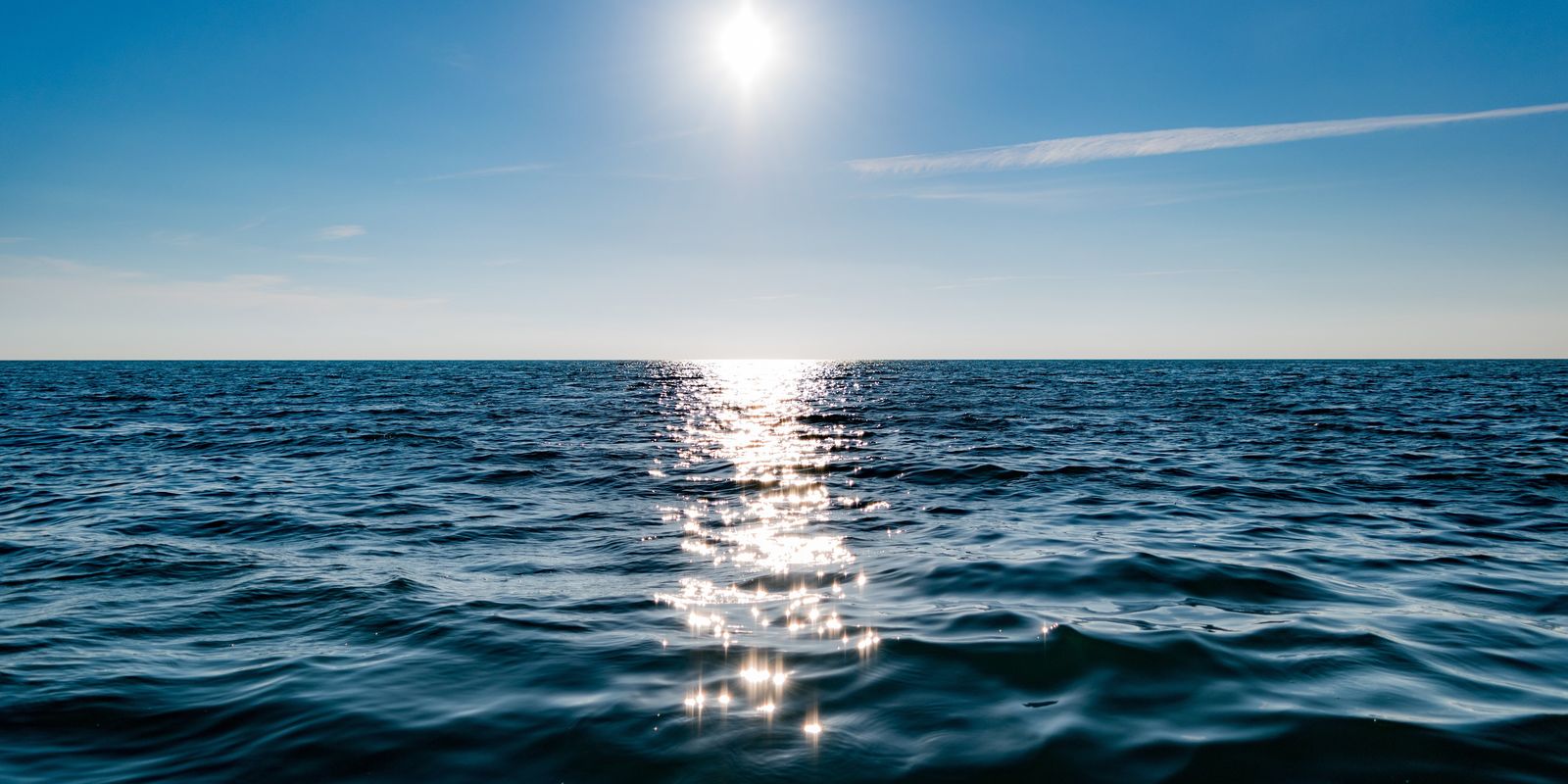 High Seas Treaty: understand what changes for Brazil