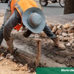 How many municipalities comply with the Participatory Budget?