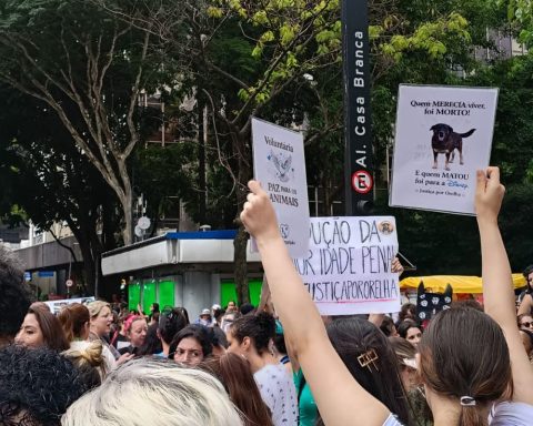 Hundreds of people in São Paulo demand justice for the dog Orelha