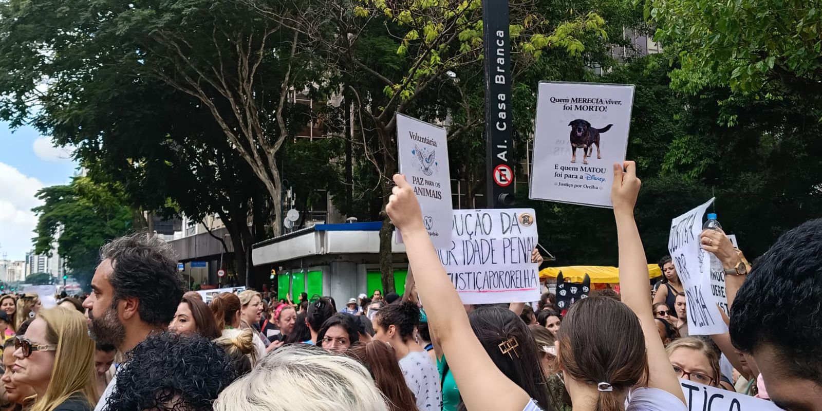 Hundreds of people in São Paulo demand justice for the dog Orelha