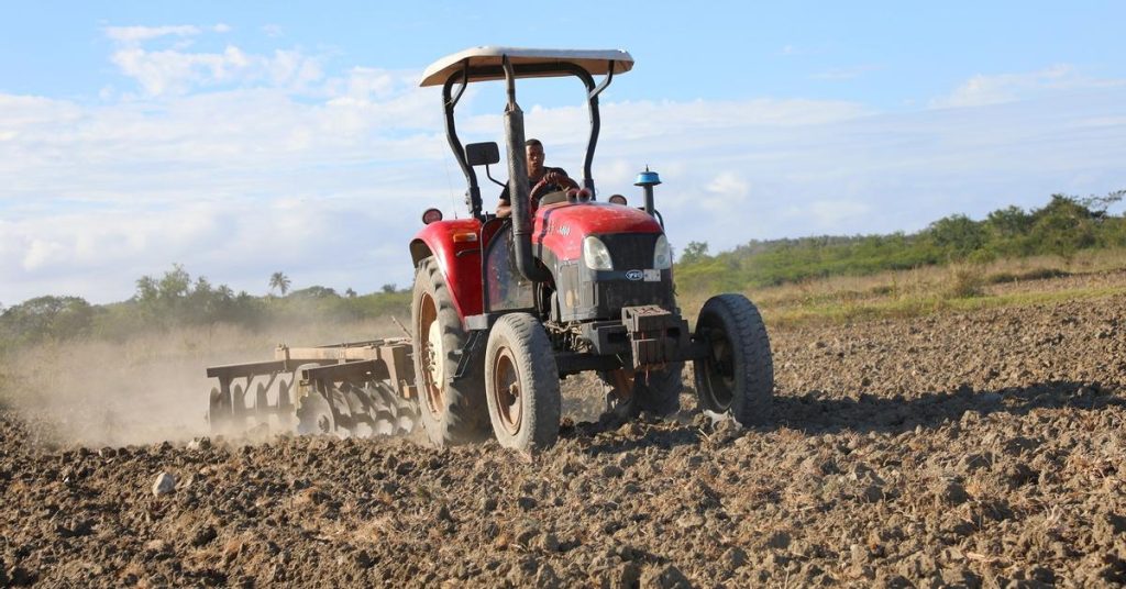 In Guantánamo they assure that they will quadruple the rice harvest, in the midst of the oil siege
