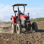 In Guantánamo they assure that they will quadruple the rice harvest, in the midst of the oil siege