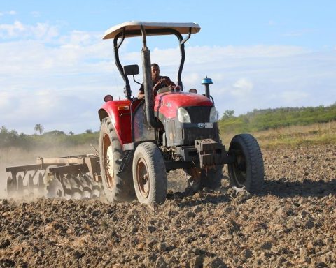 In Guantánamo they assure that they will quadruple the rice harvest, in the midst of the oil siege