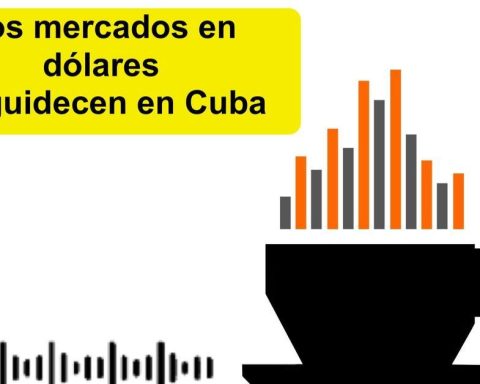 Informative coffee for Friday, February 13, 2026