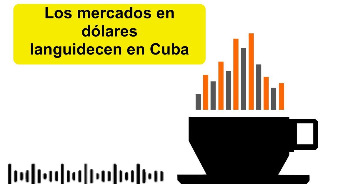 Informative coffee for Friday, February 13, 2026