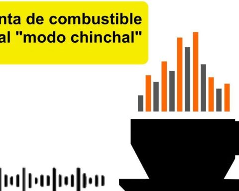 Informative coffee for Friday, February 20, 2026