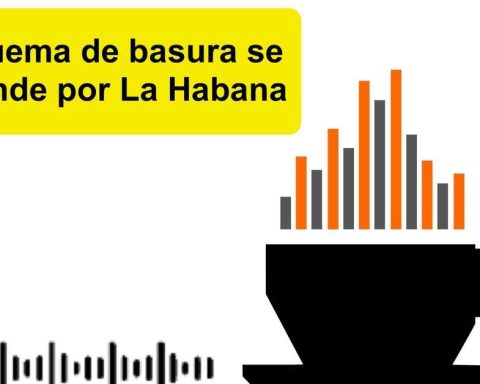 Informative coffee for Tuesday, February 17, 2026