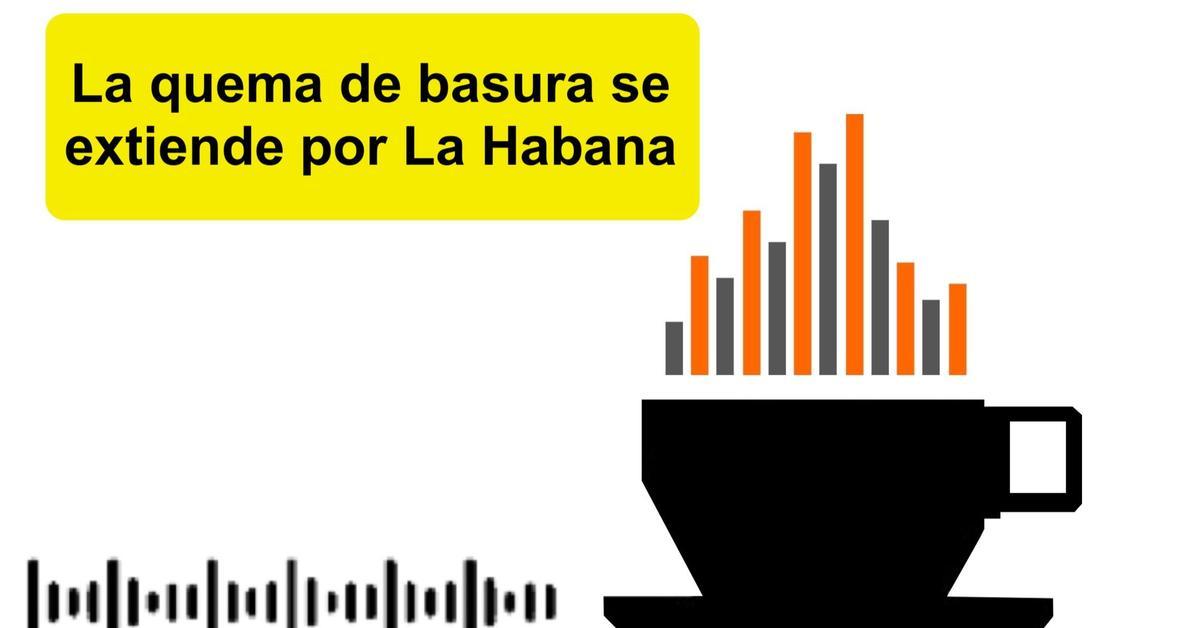 Informative coffee for Tuesday, February 17, 2026