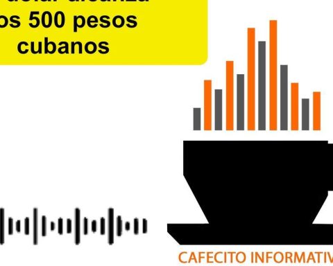 Informative coffee for Wednesday, February 11, 2026