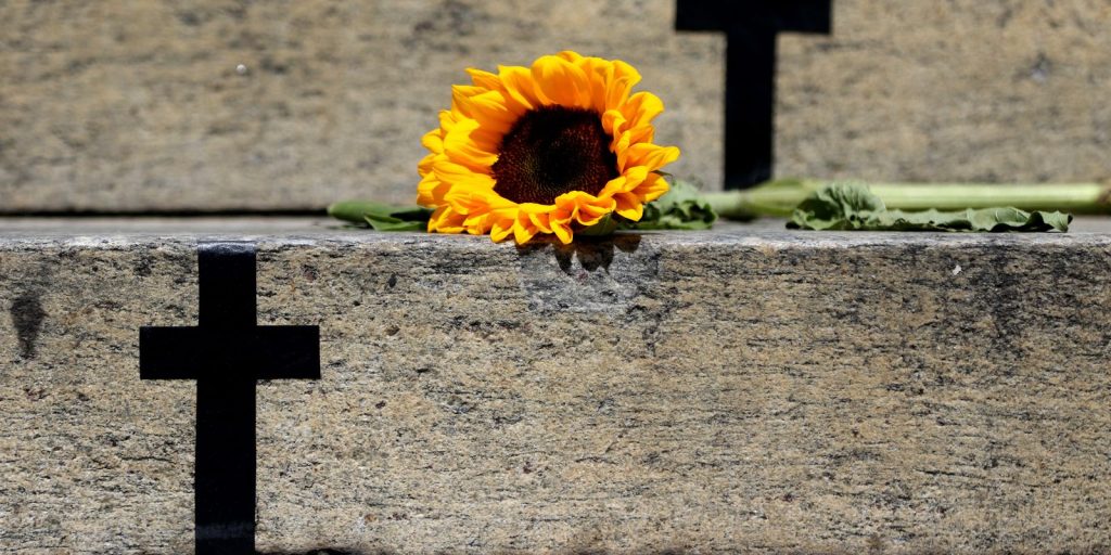 Itumbiara case raises alert for vicarious violence; understand