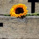 Itumbiara case raises alert for vicarious violence; understand